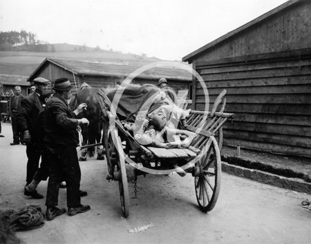 MULHAUSEN(67350) Seconde guerre mondiale Dportation et Shoah - Camp de concentration de Mulhausen - 17022005 Charette remplie de cadavres entre les baraquements.