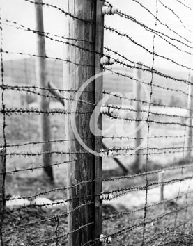 NATZWILLER(67130) Seconde guerre mondiale Dportation et Shoah - Camp de concentration de natzweiler - 17022005 Le systme de clotures electrifies.